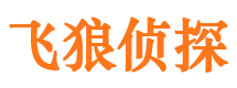 谷城外遇调查取证